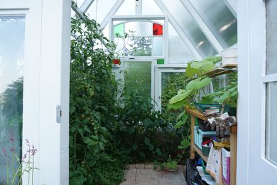 De eerste beplanting een paar maanden later..