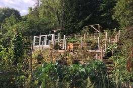 Een blik vanuit het onderste deel van de tuin op de bouwplaats.