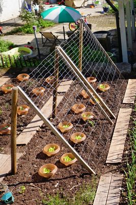 Een klimrek voor komkommers.