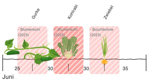 Negative example of a poor crop rotation.