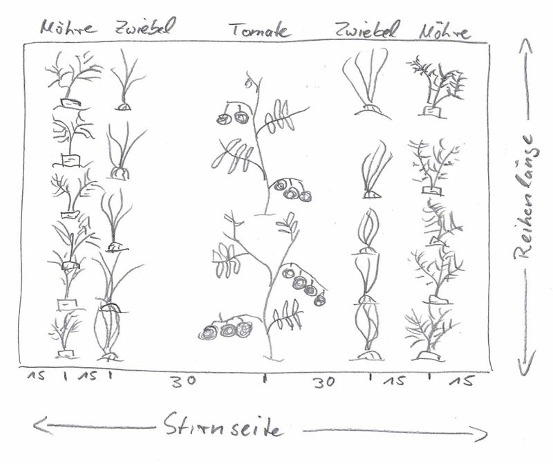 Dessin d'une planche vue de dessus
