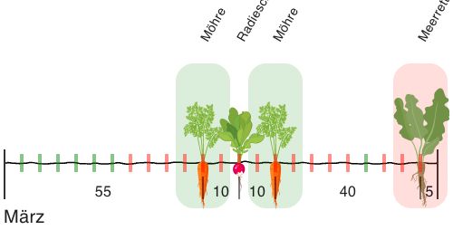 Placing a planting in the bed.