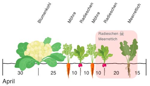 Display of a poor neighbour.
