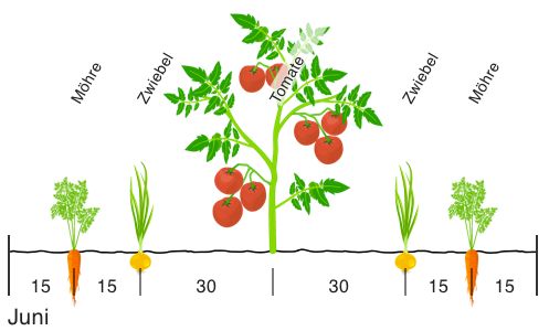 Représentation d'une planche dans grove