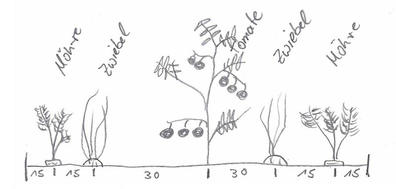 Dessin d'une planche vue depuis le côté frontal