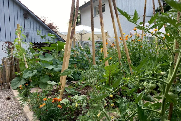Gemüsebeete in Mischkultur in unserem Garten