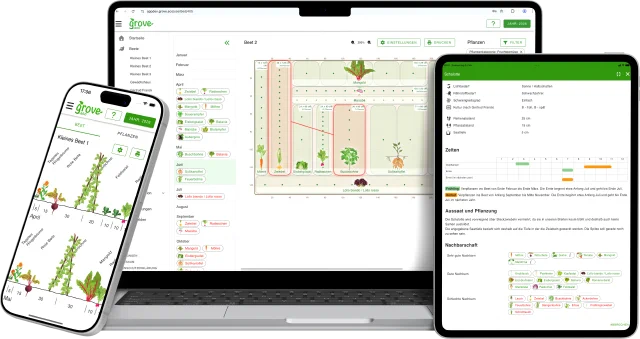 grove im Browser und auf dem Smartphone: ein Beetplan in Mischkultur