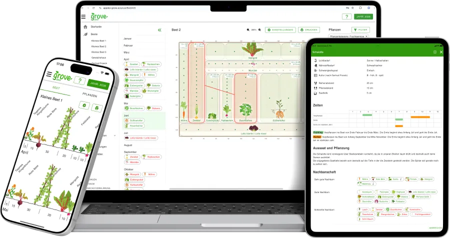 grove im Browser und auf dem Smartphone: ein Beetplan in Mischkultur