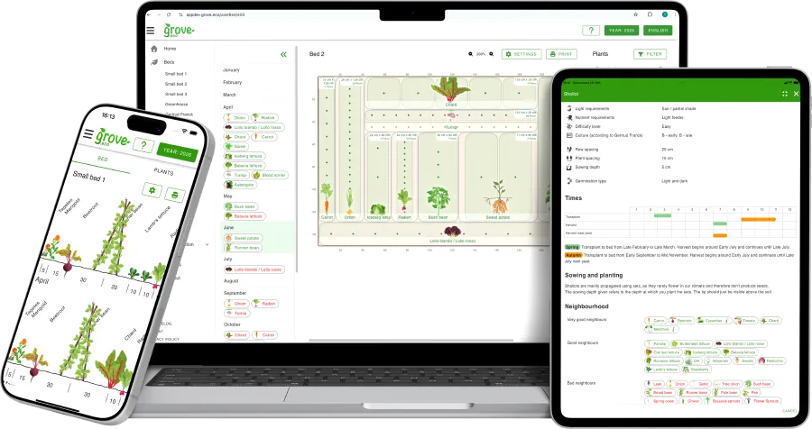 grove in the browser and on a phone: a bed plan in companion planting