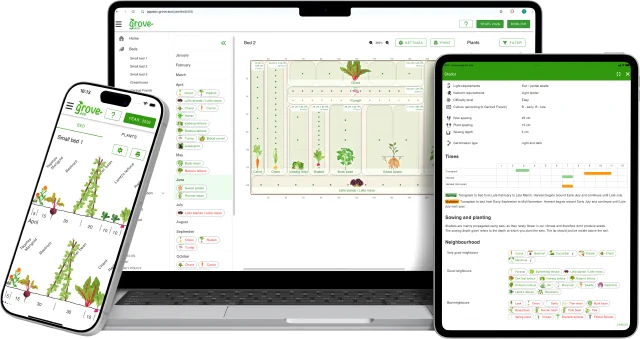 grove dans le navigateur et sur le téléphone : un plan de planche en culture associée