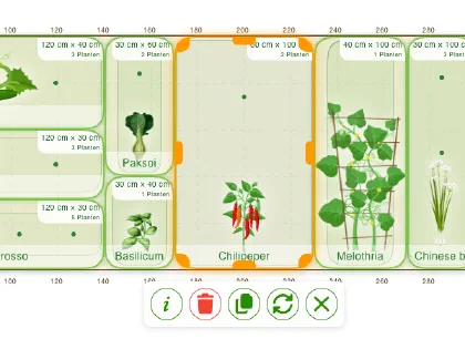 Een vrij bed in grove, van bovenaf beplant