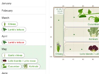 Plan plants month by month in grove, with the planting times shown