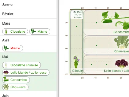 Planifie tes plantes mois après mois dans grove, avec l'affichage des périodes de plantation