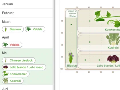 Plan planten maand na maand in grove, met weergave van de planttijden
