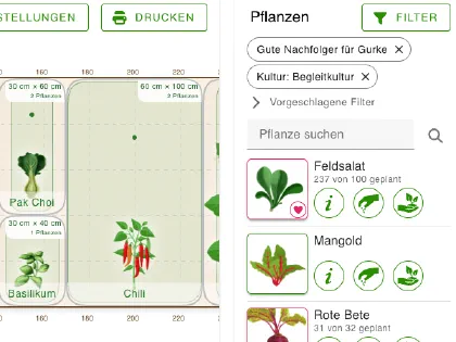 Nutze mehrere Filter in grove, um die passenden Pflanzen für Dein Beet zu finden