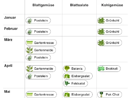 Die Erntevorschau in grove über das ganze Jahr