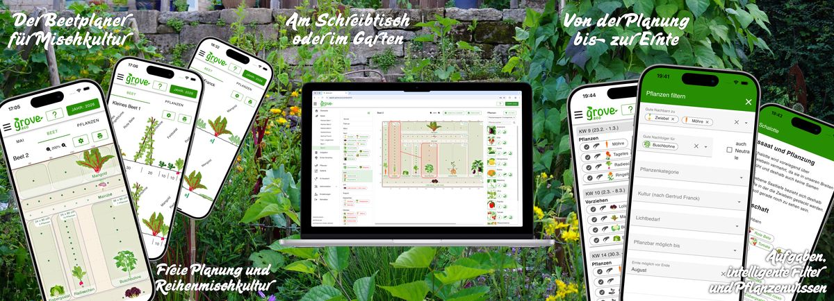 Composition de plusieurs captures d'écran de grove.eco