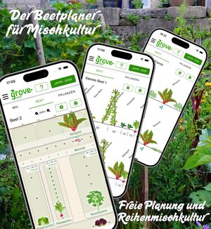Die grove App für iOS und Android ist verfügbar
