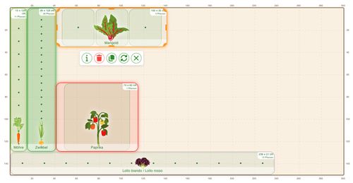 Companion planting neighbours in the bed plan