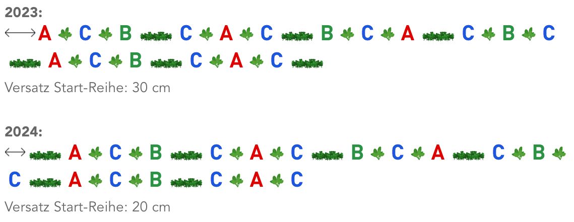 Year change in row companion planting by the Langerhorst family