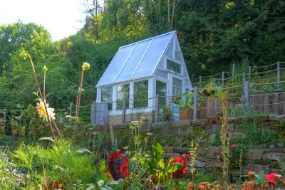 Gewächshaus im Garten von grove.eco