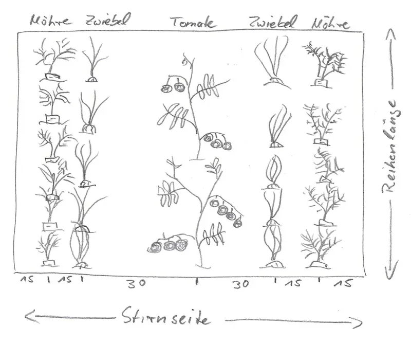 Zeichnung eines Beets von oben